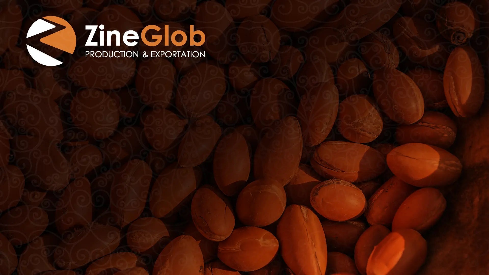 A Brief History Of Moroccan Argan Oil - ZINEGLOB | First producer of Organic Moroccan Argan oil