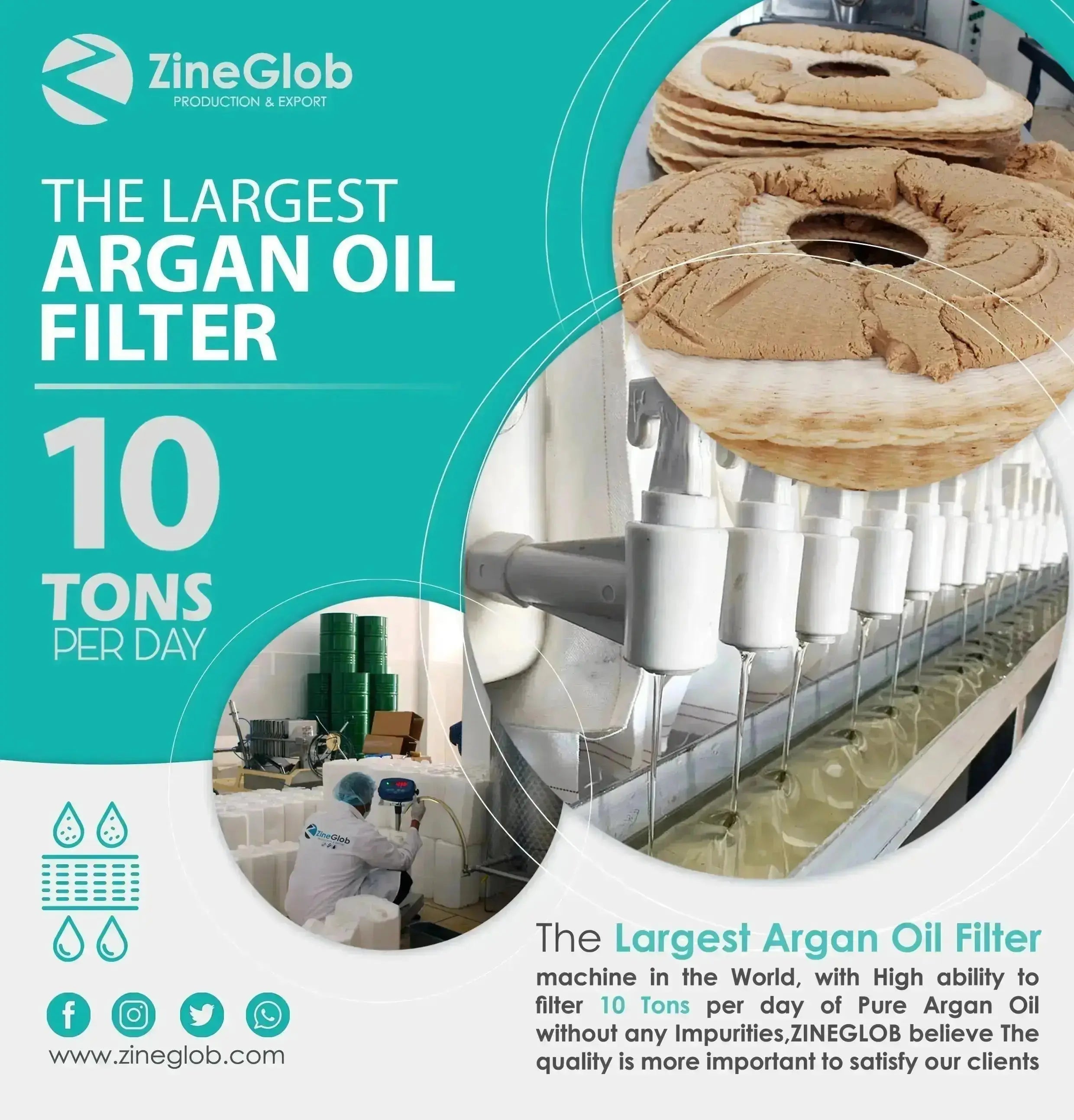 Organic Argan Oil: Cold Pressing to Global Export | Zineglob ZINEGLOB | First producer of Organic Moroccan Argan oil