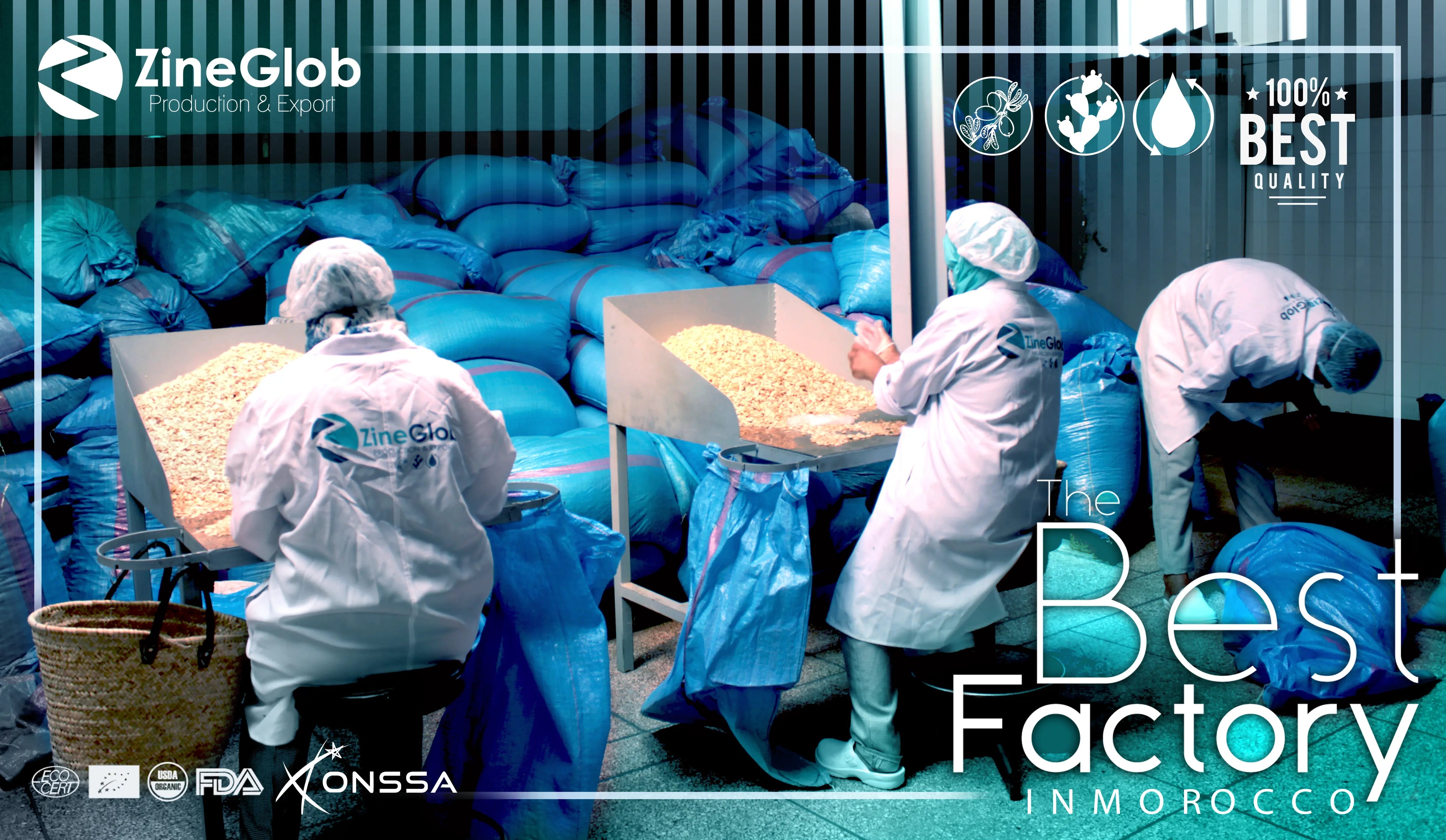 The social of Argan oil - ZINEGLOB