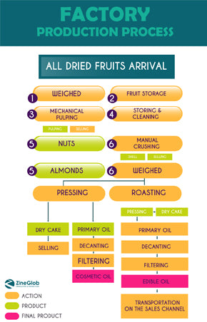 Proceso de producción de la fábrica-aceite de Argan-semillas de pera espinosa aceite