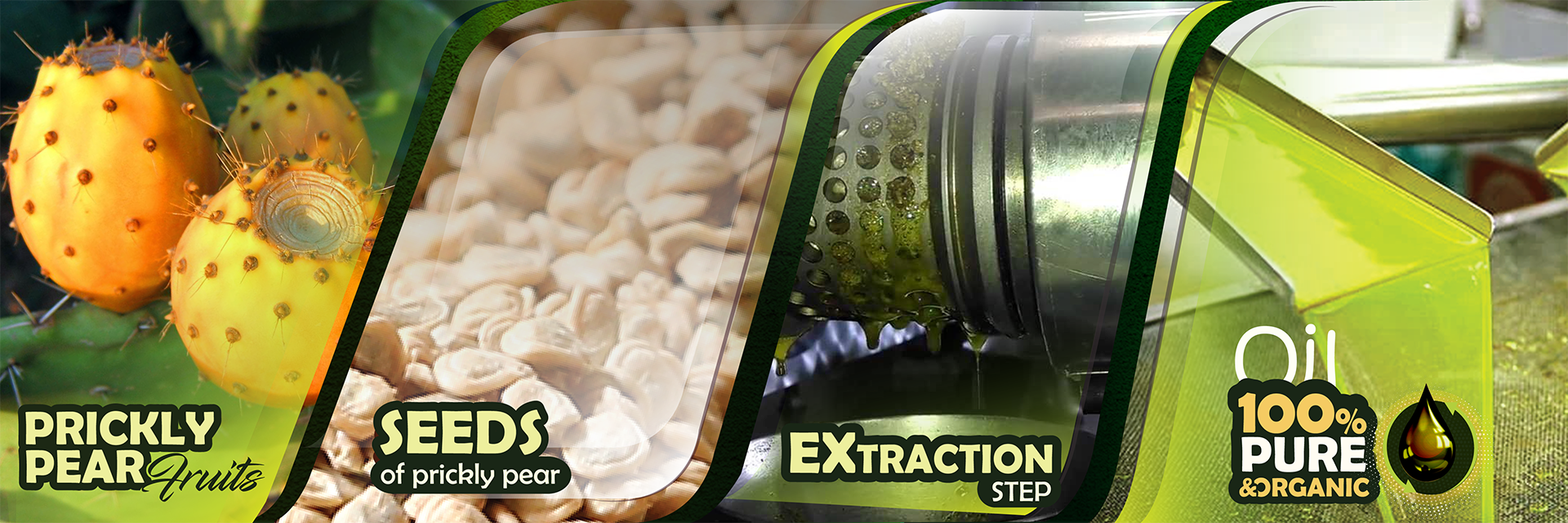 prickly pear oil production process