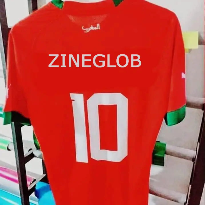 The Moroccan national football team World Cup Qatar 2022 -  ZINEGLOB | First producer of Organic Moroccan Argan oil