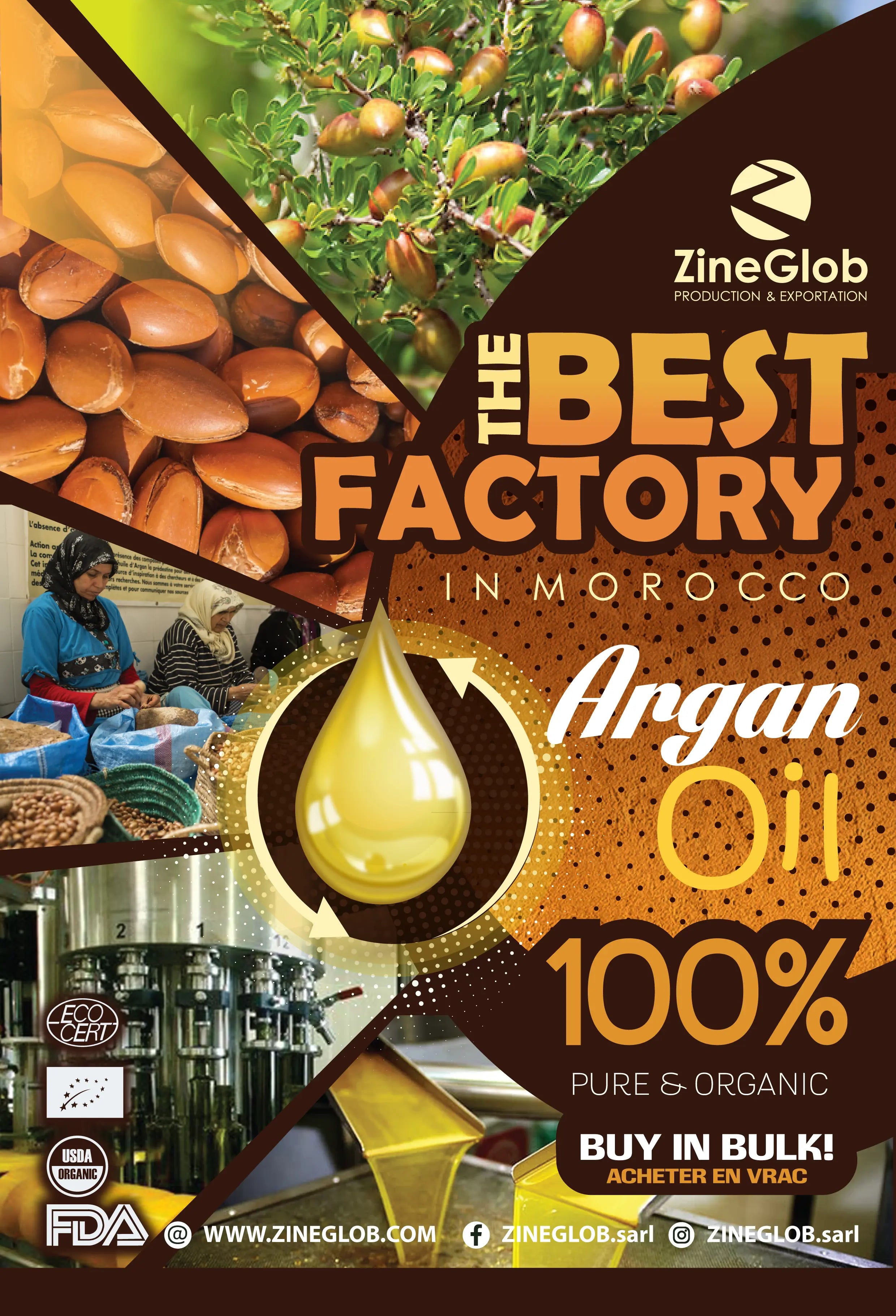 Why Moroccan Cold-Pressed Argan Oil is the World’s Highest Quality Cosmetic Oil  ZINEGLOB | First producer of Organic Moroccan Argan oil