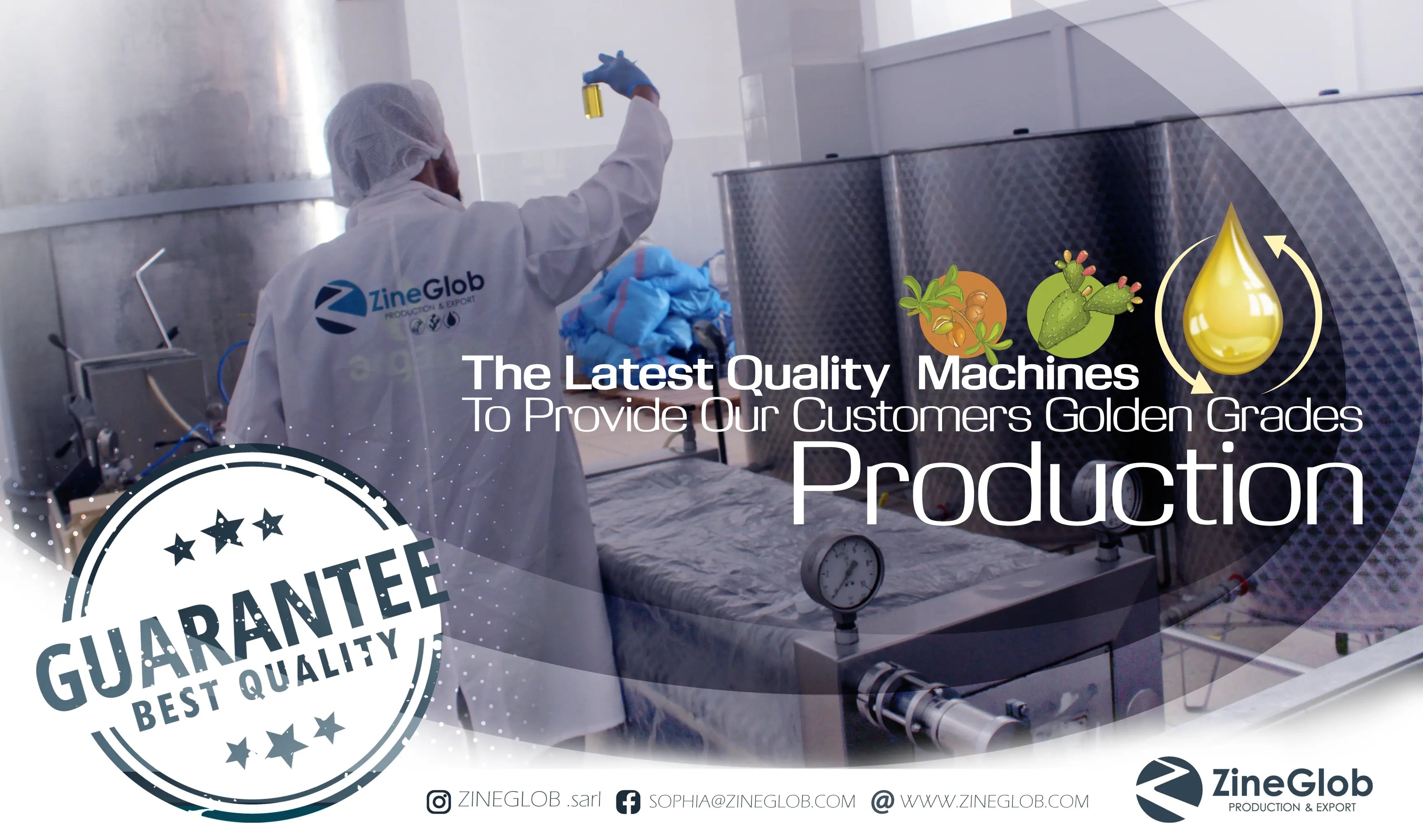 Top 12 Argan Oil Benefits for Skin and Hair -  ZINEGLOB | First producer of Organic Moroccan Argan oil