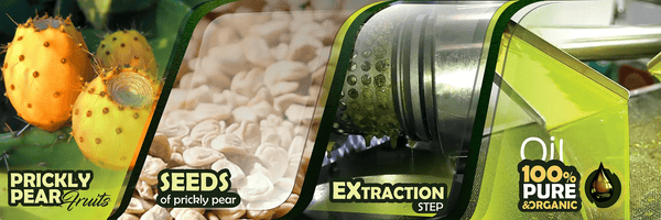 prickly pear oil production process