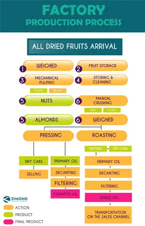 Factory Production Process - Argan Oil - Prickly Pear seeds Oil -  ZINEGLOB | First producer of Organic Moroccan Argan oil