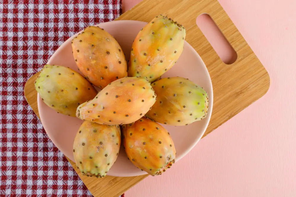 Prickly Pear Oil Bulk -  ZINEGLOB | First producer of Organic Moroccan Argan oil