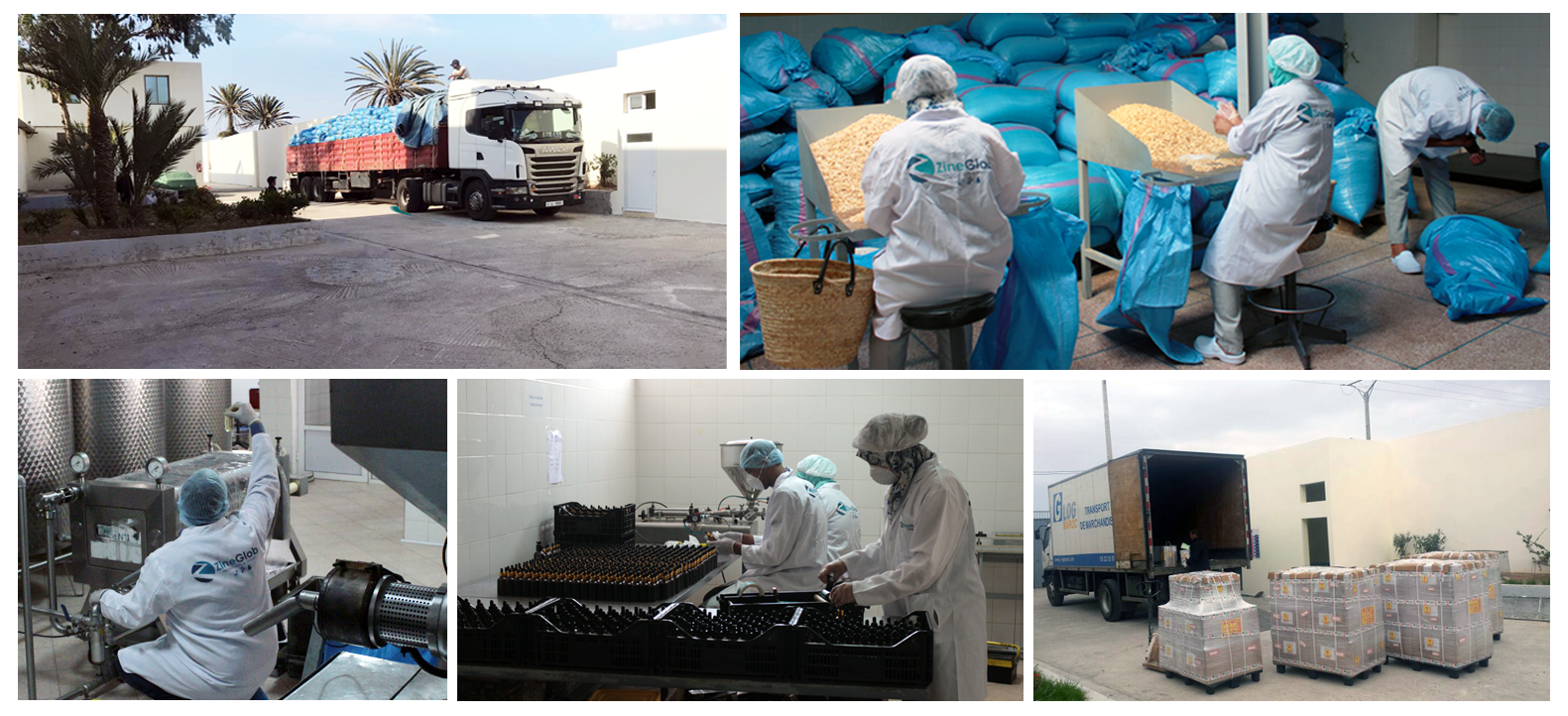 Automated production line at the Zineglob factory for packaging cosmetic products and organic argan oil.