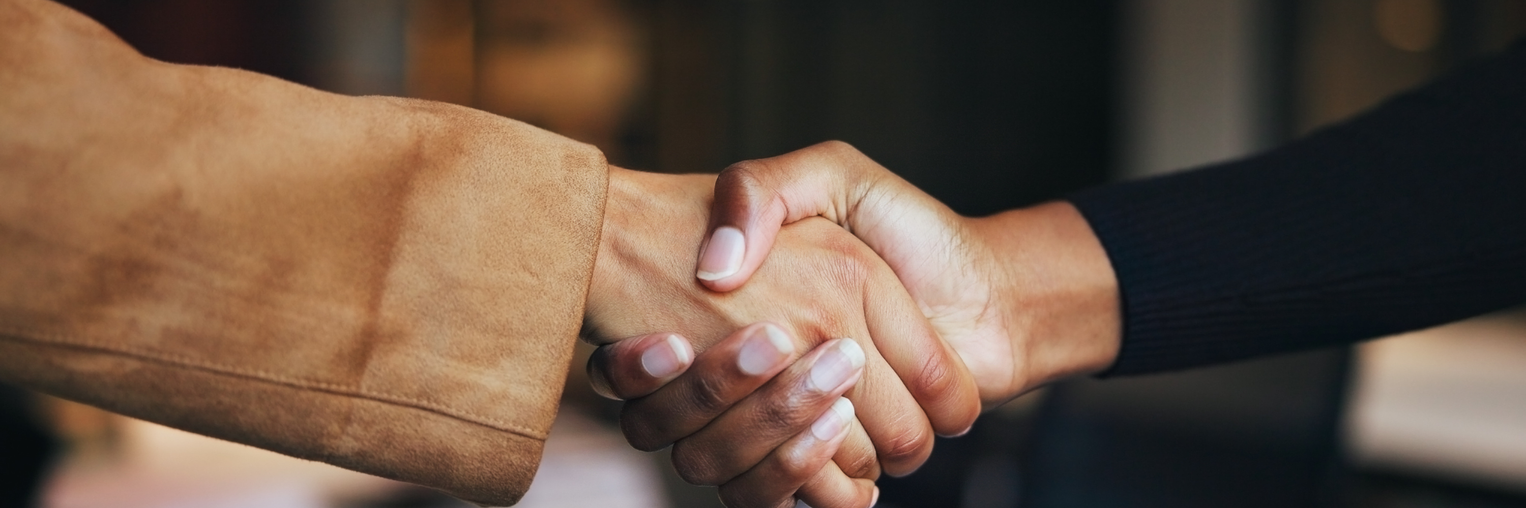 Zineglob B2B newsletter subscription banner showing a handshake for partnership in natural cosmetics distribution
