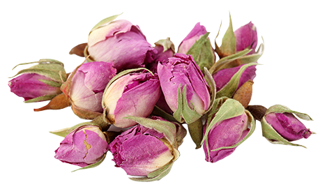 ZINEGLOB | First producer of Organic Moroccan Argan oil IN BULK DRIED DAMASK ROSE BUDS (BULK)